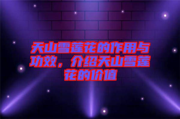 天山雪蓮花的作用與功效,介紹天山雪蓮花的價值