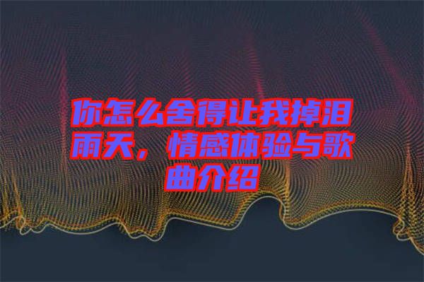 你怎么舍得讓我掉淚雨天,情感體驗(yàn)與歌曲介紹