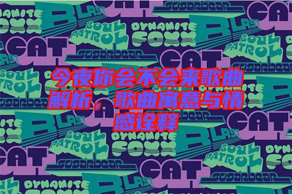 今夜你會不會來歌曲解析,歌曲寓意與情感詮釋