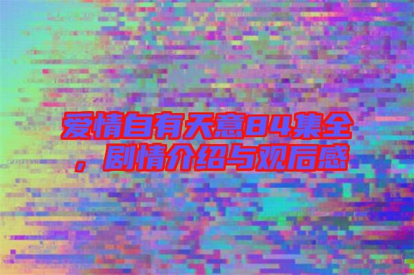 愛情自有天意84集全,劇情介紹與觀后感