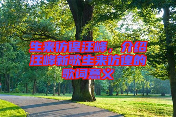 生來彷徨汪峰，介紹汪峰新歌生來彷徨的歌詞意義