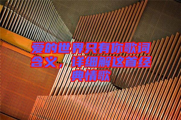 愛的世界只有你歌詞含義,詳細解這首經典情歌
