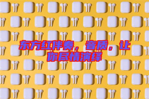 東方紅伴奏，音質(zhì)，讓你盡情演繹