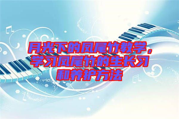 月光下的鳳尾竹教學，學習鳳尾竹的生長習和養護方法