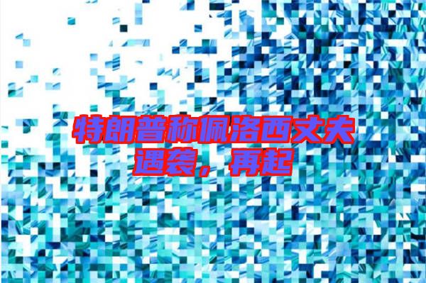 特朗普稱佩洛西丈夫遇襲,再起