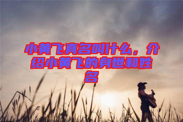 小黃飛真名叫什么,介紹小黃飛的身世和姓名