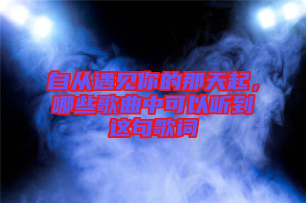 自從遇見你的那天起,哪些歌曲中可以聽到這句歌詞