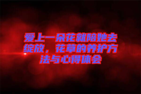 愛上一朵花就陪她去綻放,花草的養(yǎng)護(hù)方法與心得體會(huì)