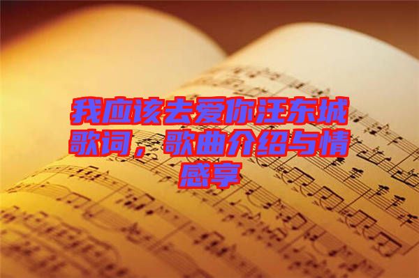 我應(yīng)該去愛你汪東城歌詞,歌曲介紹與情感享