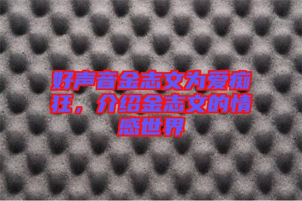 好聲音金志文為愛(ài)癡狂,介紹金志文的情感世界