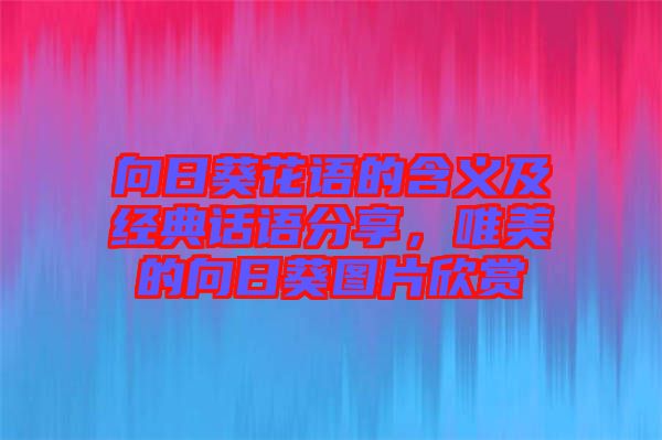 向日葵花語的含義及經典話語分享，唯美的向日葵圖片欣賞