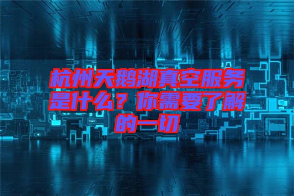 杭州天鵝湖真空服務是什么?你需要了解的一切