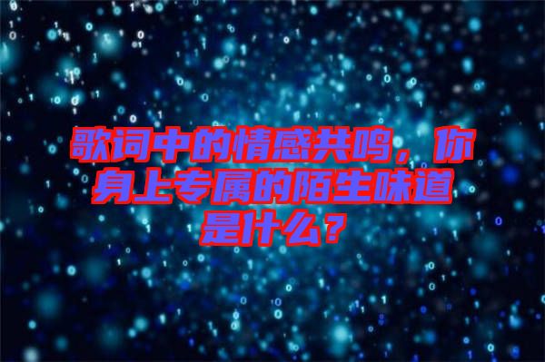 歌詞中的情感共鳴,你身上專屬的陌生味道是什么?