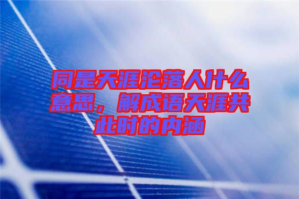 同是天涯淪落人什么意思,解成語天涯共此時的內涵
