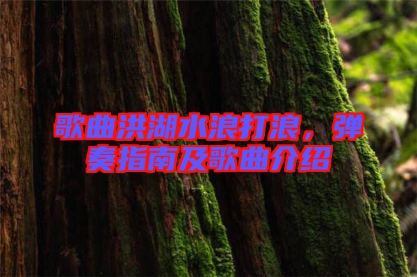 歌曲洪湖水浪打浪，彈奏指南及歌曲介紹