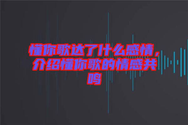 懂你歌達了什么感情,介紹懂你歌的情感共鳴