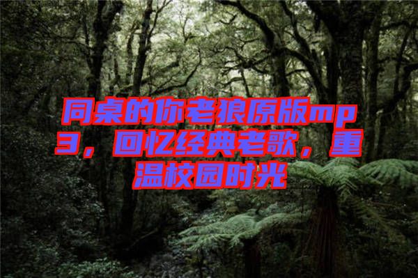 同桌的你老狼原版mp3,回憶經典老歌,重溫校園時光