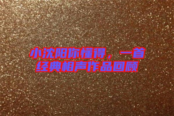 小沈陽你懂得,一首經典相聲作品回顧