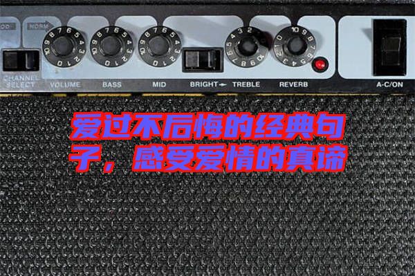 愛(ài)過(guò)不后悔的經(jīng)典句子,感受愛(ài)情的真諦