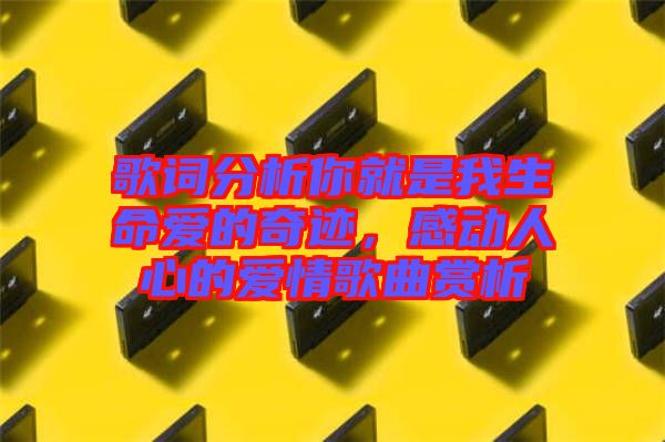 歌詞分析你就是我生命愛的奇跡,感動人心的愛情歌曲賞析