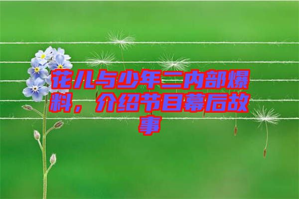 花兒與少年二內部爆料，介紹節目幕后故事