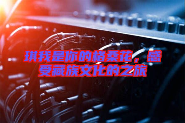 琪我是你的格桑花,感受藏族文化的之旅