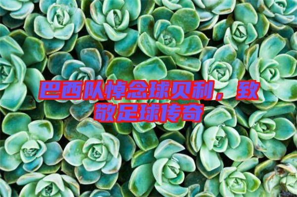 巴西隊悼念球貝利,致敬足球傳奇