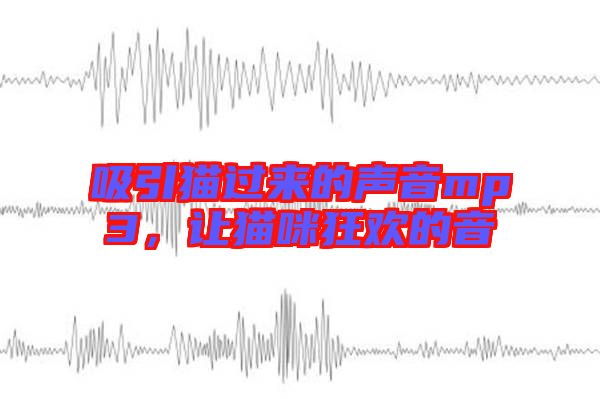 吸引貓過來的聲音mp3,讓貓咪狂歡的音