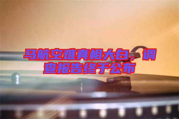 馬航空難真相大白,調查報告終于公布