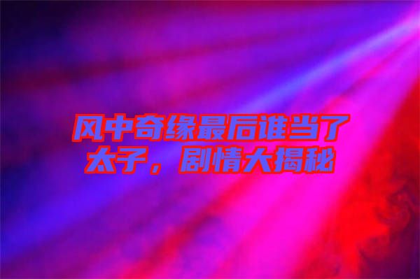 風中奇緣最后誰當了太子,劇情大揭秘