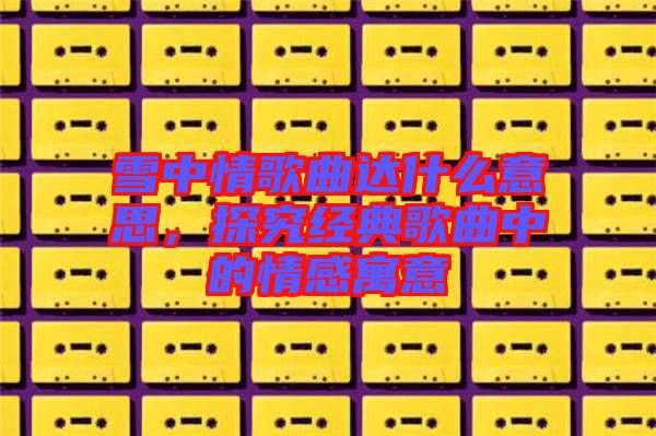 雪中情歌曲達(dá)什么意思,探究經(jīng)典歌曲中的情感寓意