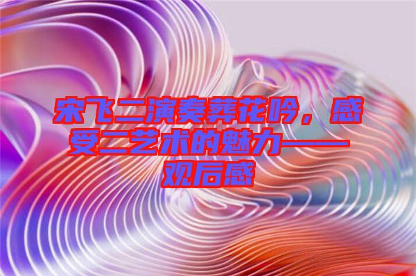 宋飛二演奏葬花吟,感受二藝術的魅力——觀后感