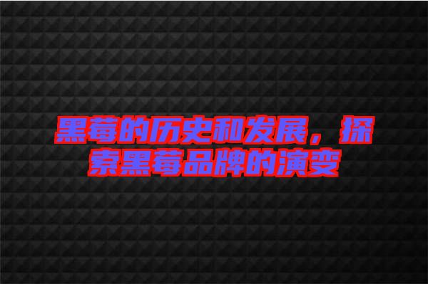 黑莓的歷史和發(fā)展,探索黑莓品牌的演變