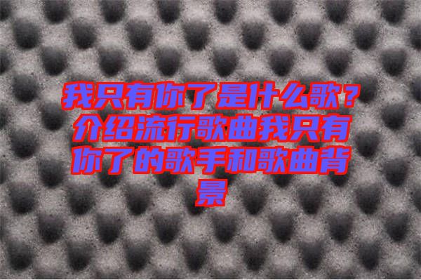 我只有你了是什么歌?介紹流行歌曲我只有你了的歌手和歌曲背景