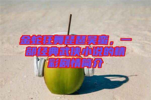 金蛇狂舞琵琶吳蠻,一部經典武俠小說的精彩劇情簡介