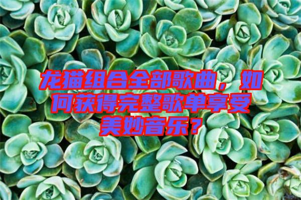 龍貓組合全部歌曲,如何獲得完整歌單享受美妙音樂?