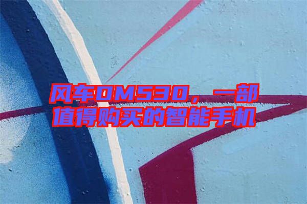 風(fēng)車DM530,一部值得購買的智能手機(jī)