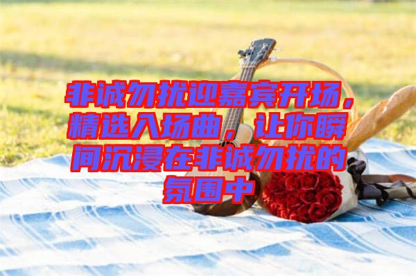 非誠勿擾迎嘉賓開場,精選入場曲,讓你瞬間沉浸在非誠勿擾的氛圍中