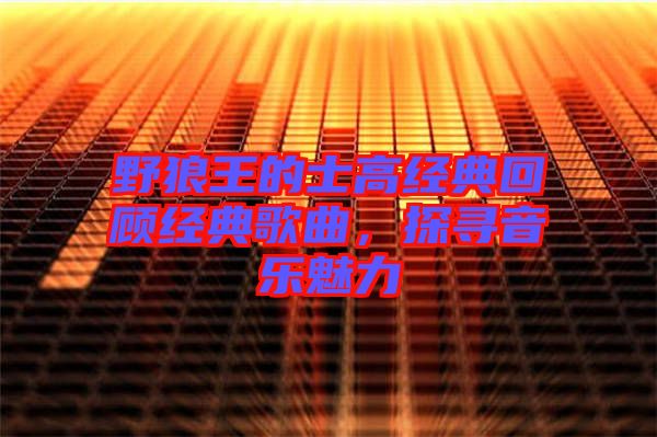 野狼王的士高經(jīng)典回顧經(jīng)典歌曲,探尋音樂魅力