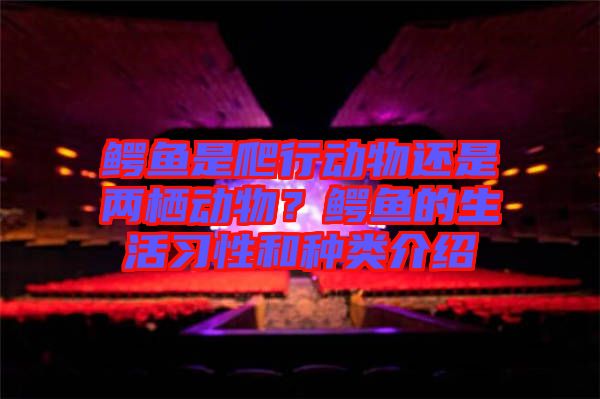 鱷魚是爬行動物還是兩棲動物？鱷魚的生活習性和種類介紹