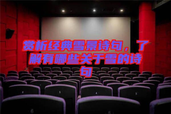 賞析經典雪景詩句,了解有哪些關于雪的詩句