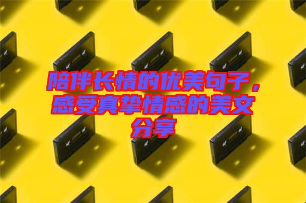 陪伴長情的優(yōu)美句子,感受真摯情感的美文分享