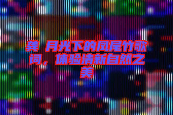 龔玥月光下的鳳尾竹歌詞,體驗清新自然之美