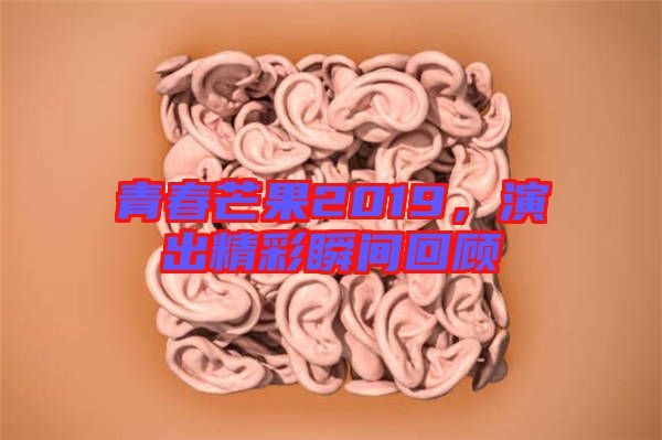 青春芒果2019,演出精彩瞬間回顧