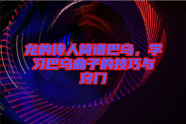 龍的傳人簡譜巴烏,學習巴烏曲子的技巧與竅門
