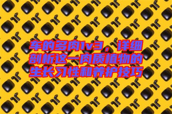 車的多肉1v3,詳細剖析這一肉質植物的生長習性和養護技巧