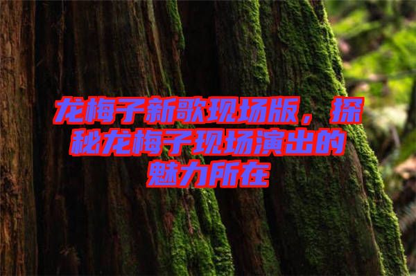 龍梅子新歌現場版,探秘龍梅子現場演出的魅力所在