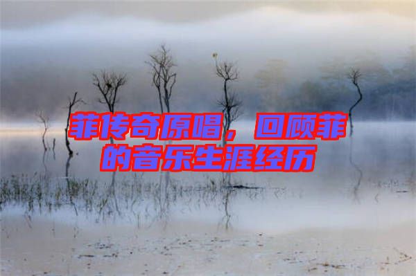 菲傳奇原唱,回顧菲的音樂生涯經歷