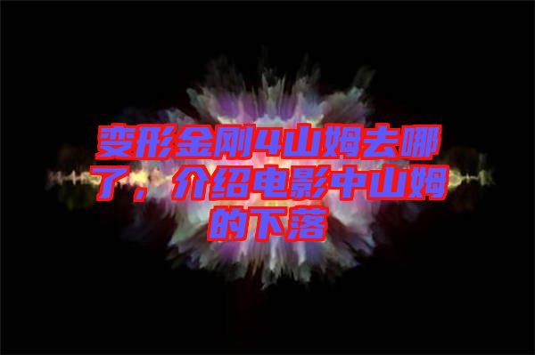 變形金剛4山姆去哪了,介紹電影中山姆的下落