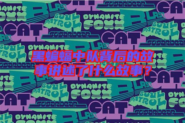 黑蝙蝠中隊背后的故事講述了什么故事?